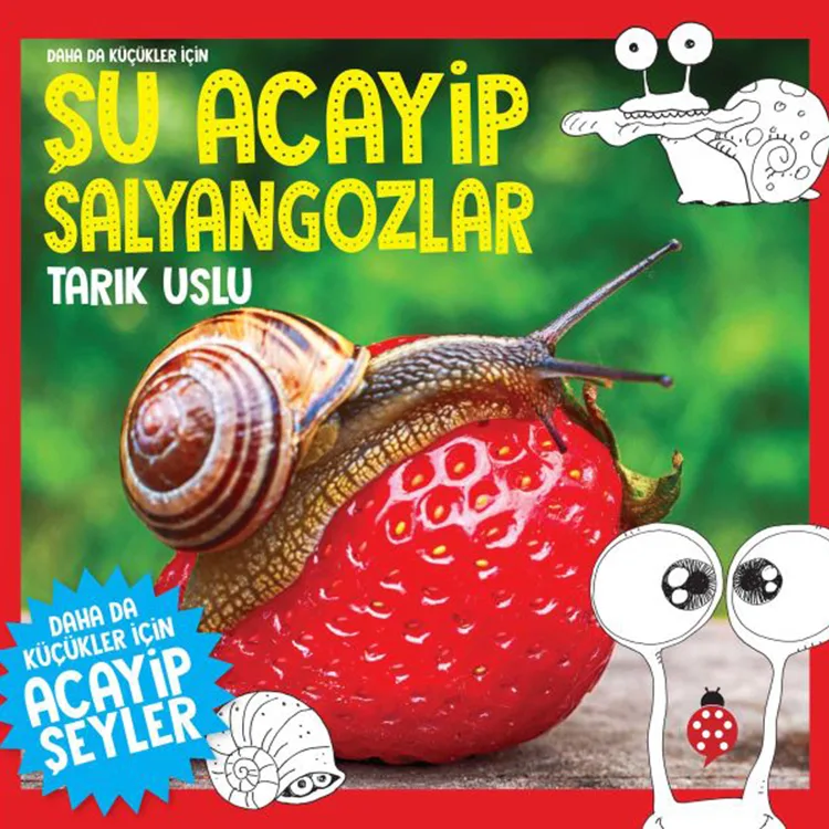 DAHA DA KÜÇÜKLER İÇİN ACAYİP ŞEYLER - ŞU ACAYİP SALYANGOZLAR
