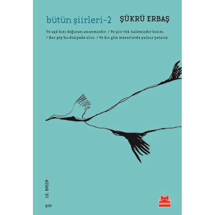 BÜTÜN ŞİİRLERİ 2