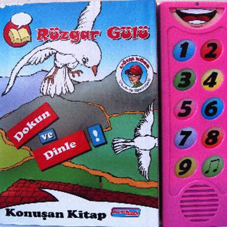 KONUŞAN KİTAP: RÜZGAR GÜLÜ (DOKUN VE DİNLE!)