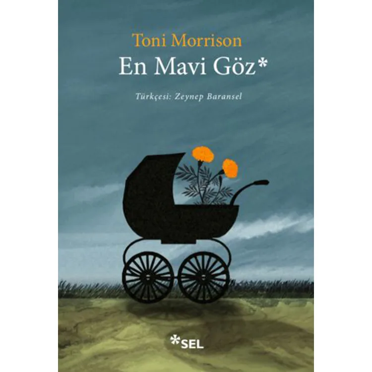 EN MAVİ GÖZ