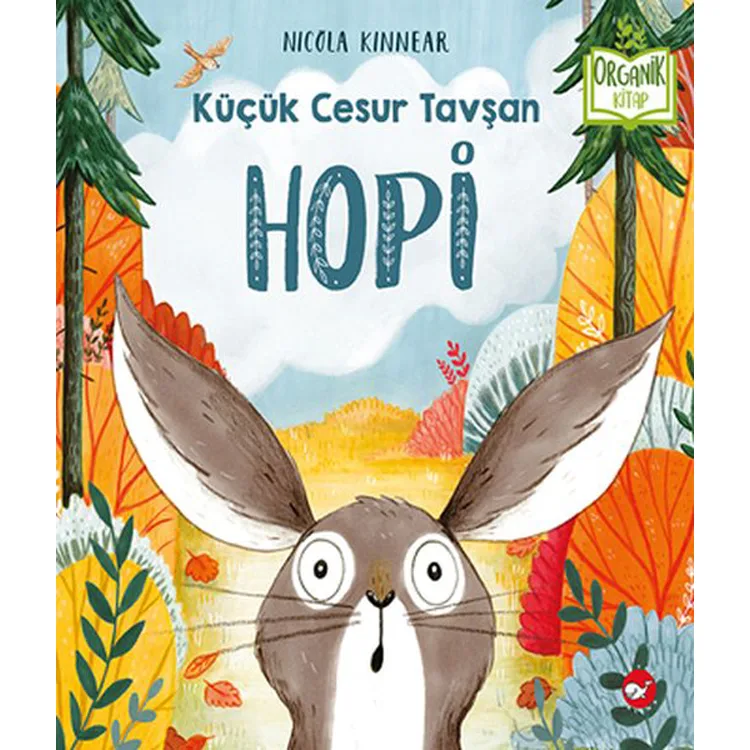 KÜÇÜK CESUR TAVŞAN HOPİ