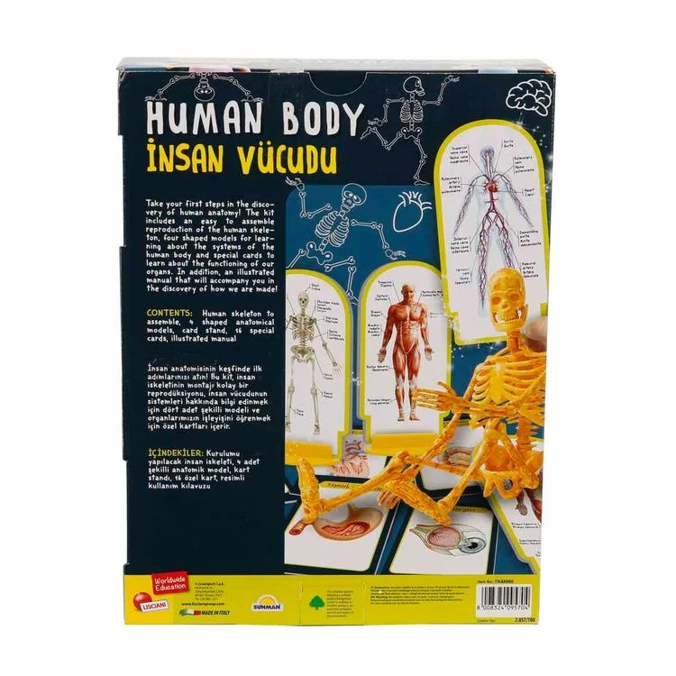 SUNMAN TK48960 İNSAN VÜCUDU BİLİM SETİ