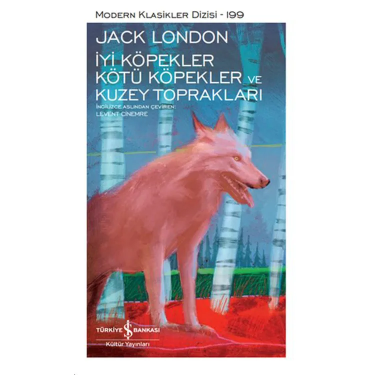 İYİ KÖPEKLER KÖTÜ KÖPEKLER VE KUZEY TOPRAKLARI - MODERN KLASİKLER 199