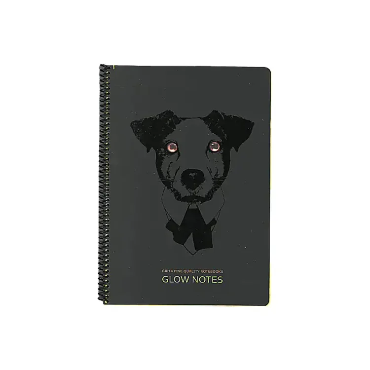 GIPTA GLOW NOTES SPR. KARTON KPK.A4 80YP.ÇİZGİLİ