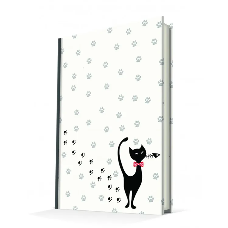 DEFFTER 14X20 ARISTOCRAT CAT SERT KAPAK ÇİZGİLİ DEFTER 96 YP